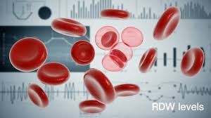 What Level of RDW Is Dangerous